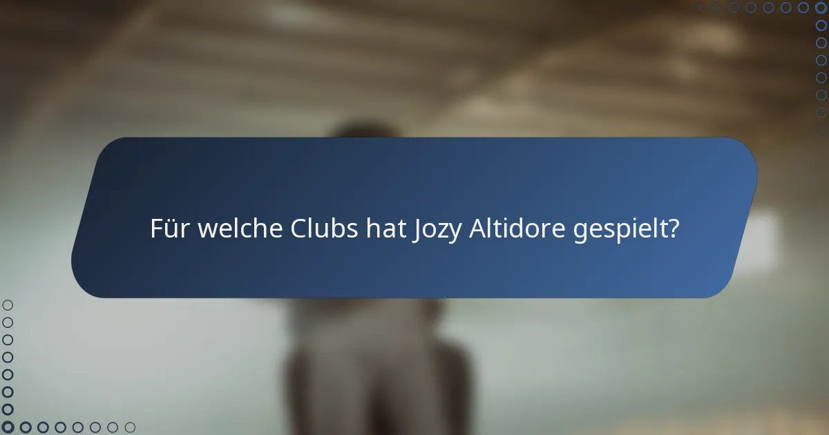 Für welche Clubs hat Jozy Altidore gespielt?